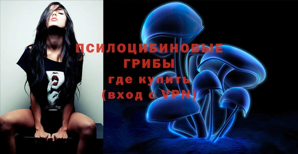 кокаин Белокуриха