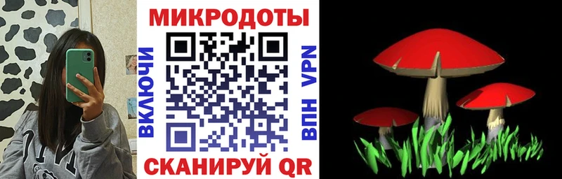 купить цена Короча Псилоцибиновые грибы MAGIC MUSHROOMS